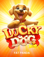 ประสบการณ์ยู ส ทดลอง xoroma slotxo ที่คุณต้องลอง